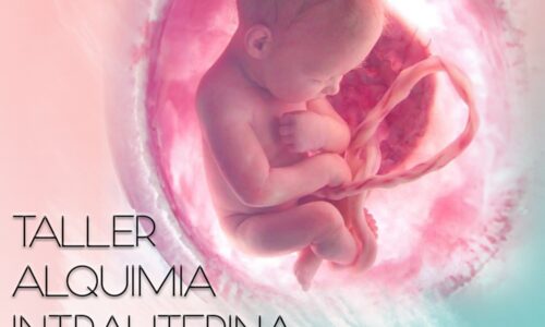 Taller Alquimia Intrauterina